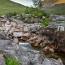 thumbs/E5D_6048-HDR.jpg